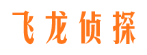 景德镇市调查公司